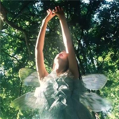 埃尔塞：差点改变世界的人